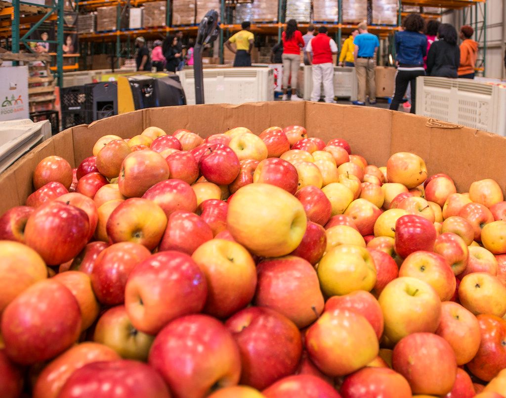 A large cardboard bin heaped with red and yellow apples in a food bank store room, with volunteers working in the background
