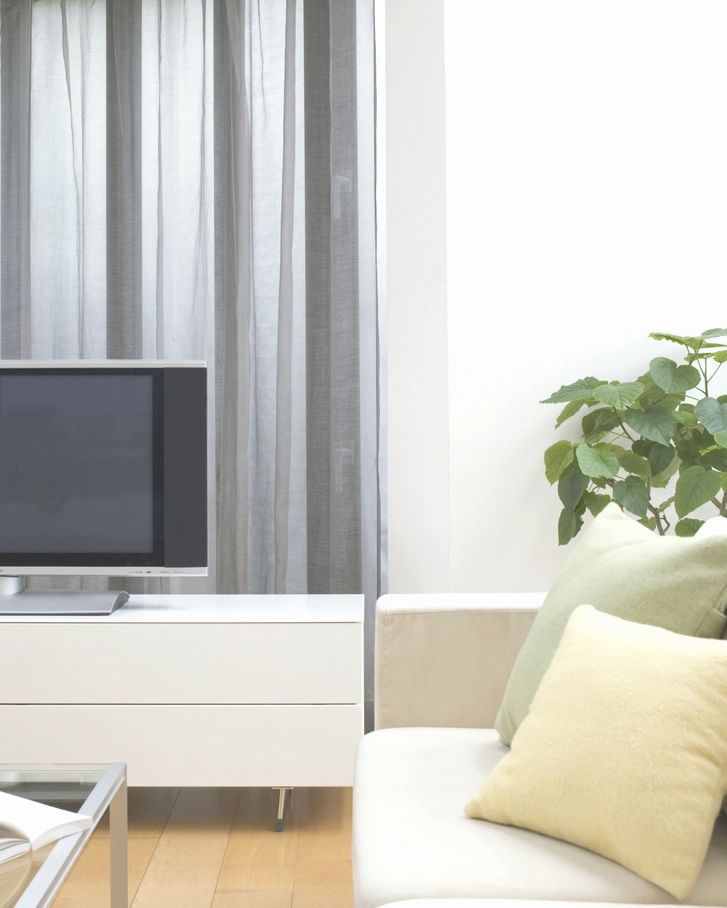 A pale sofa with soft green cushions and a leafy plant by the window.