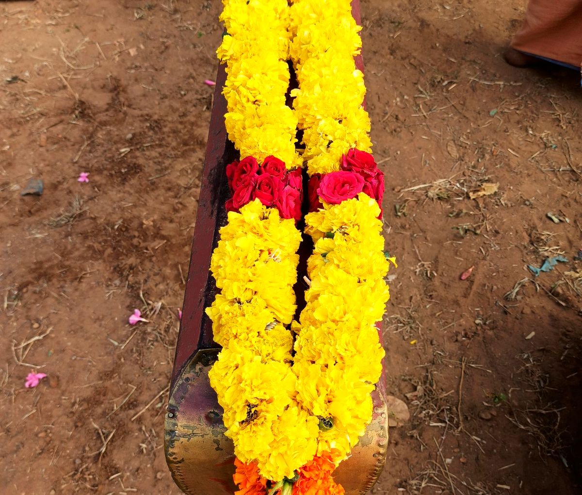 Wedding garland of yellow marigolds with red rose accents, freshly tied