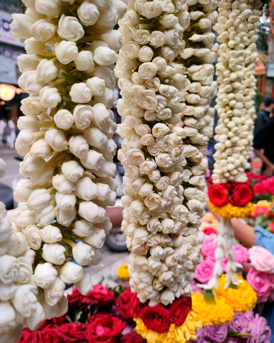 Dense strands of white jasmine wedding garlands, finished with roses