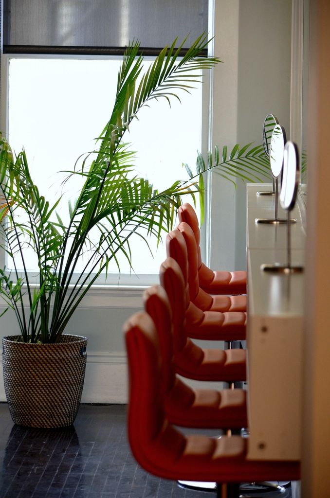 Empty styling chairs lined up at a salon mirror desk, beside a potted palm and a bright window